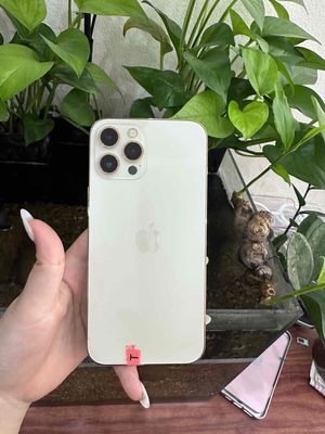Apple iPhone 12 Pro Max 256GB Vàng 95%