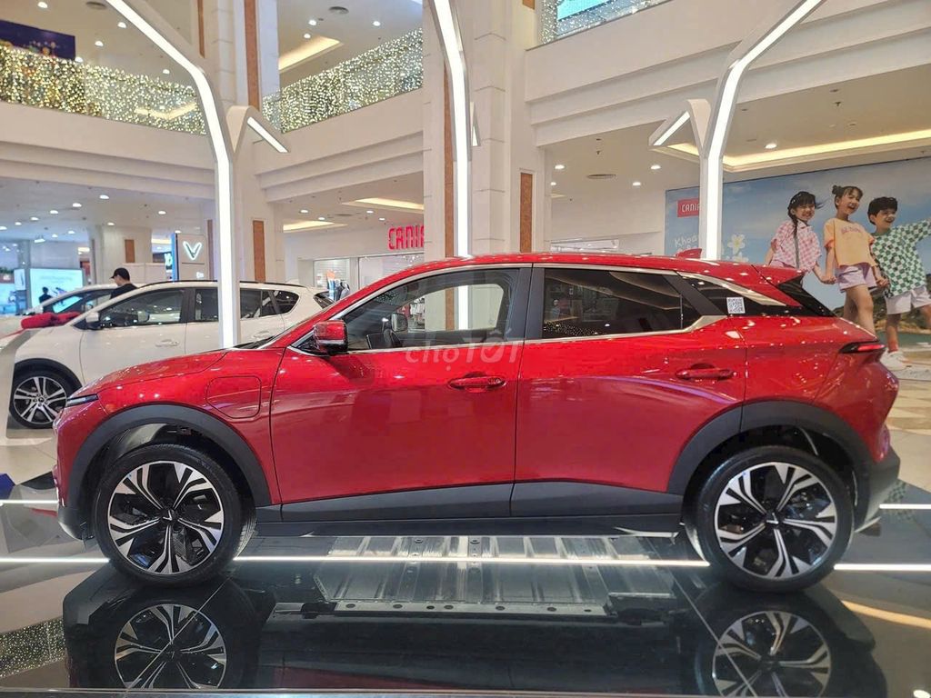 Ảnh số 8
