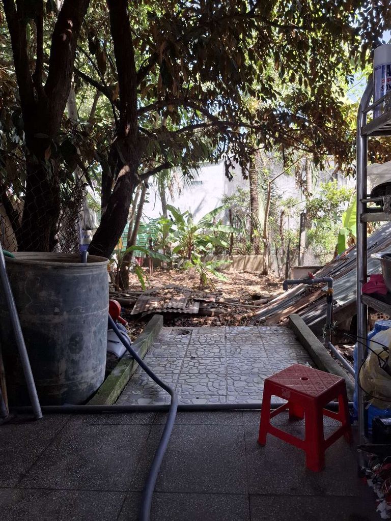 bán chó con. Mua bán Chó tại Huyện Dương Minh Châu Tây Ninh được đăng bởi Pham Hau hình 2