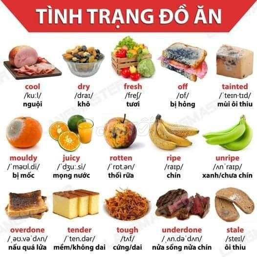Dạy kèm tiếng Anh online