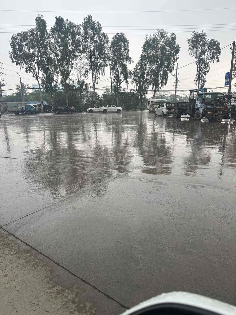 Mèo con giống nhỏ 1 tháng chưa tiêm. Mua bán Mèo tại Huyện Thanh Trì Hà Nội được đăng bởi anc hình 1