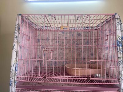 Lồng vận chuyển chó mèo Size XL