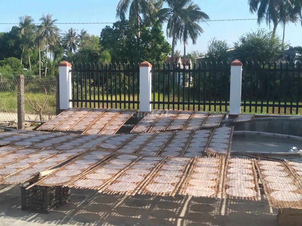 Bánh tráng gạo Bình Định giòn 20 cái. Mua bán Đồ ăn, thực phẩm và các loại khác tại Thành phố Thủ Đức Tp Hồ Chí Minh được đăng bởi Anh Thư Lương hình 1
