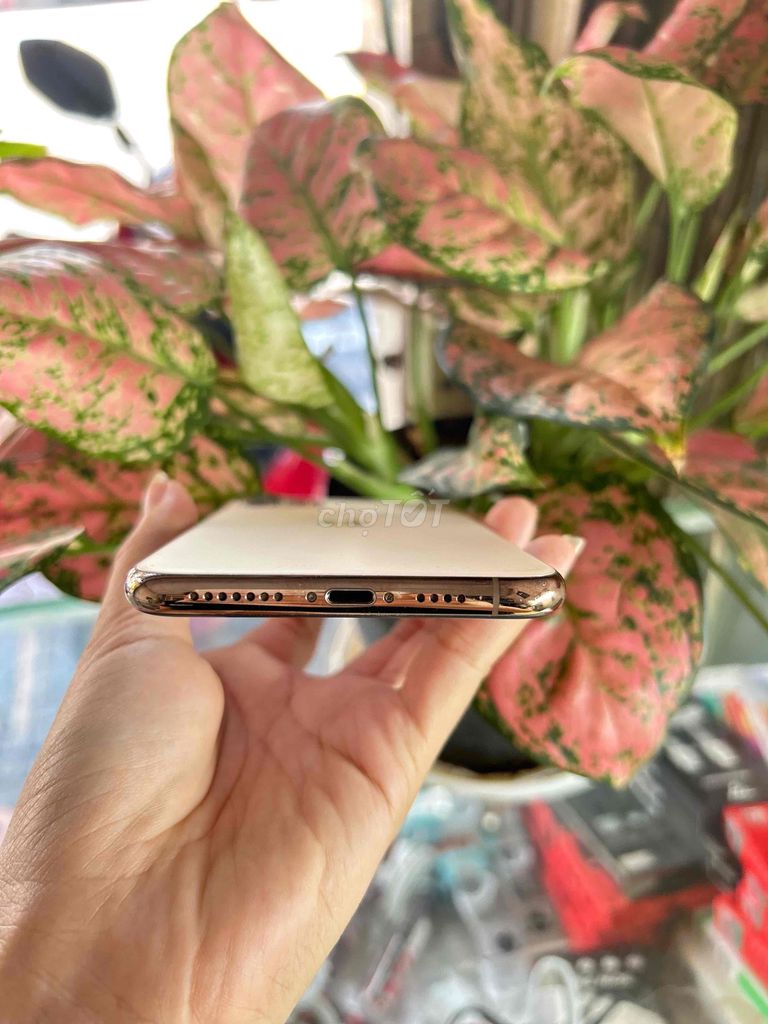 iPhone 11 Pro Max 256GB Gold. Mua bán Điện thoại tại Quận 8 Tp Hồ Chí Minh được đăng bởi Chang Changg  hình 1