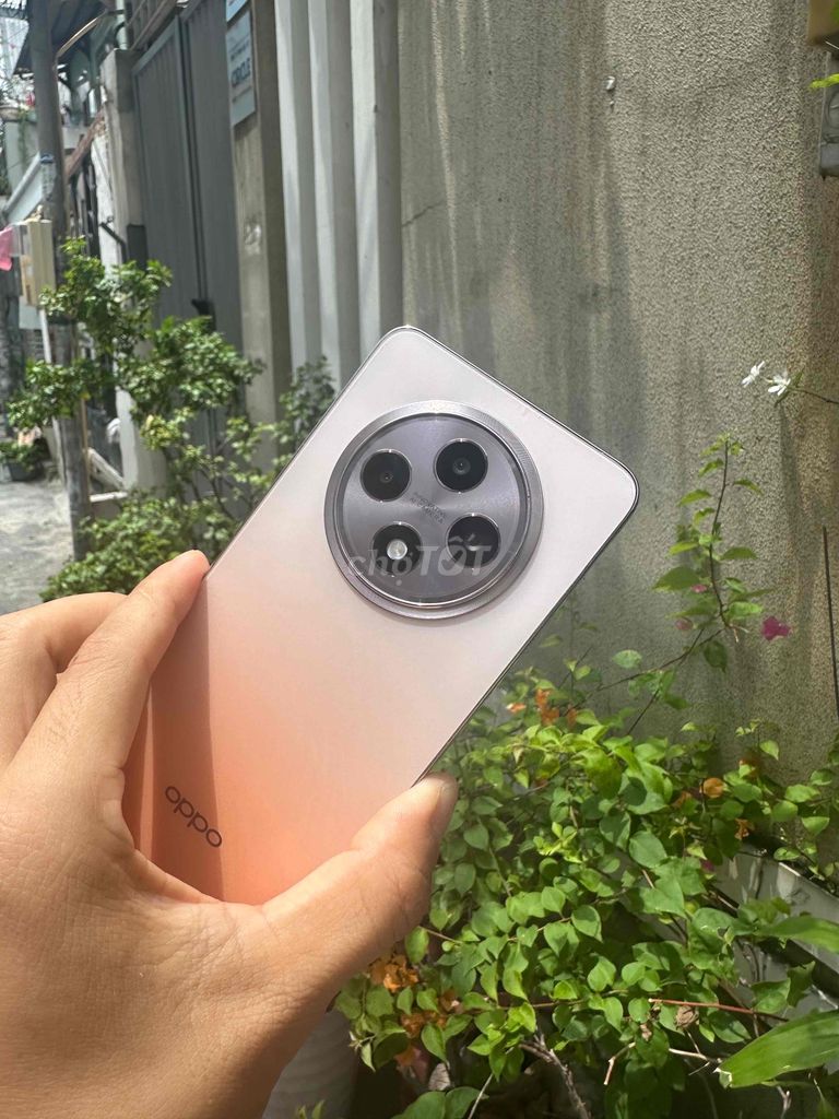 OPOP Reno 12F 5G keng 99%. Mua bán Điện thoại tại Quận Gò Vấp Tp Hồ Chí Minh được đăng bởi Cầm Đồ Duy Anh hình 1