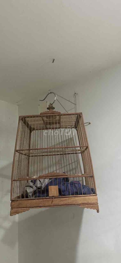 Lồng chim Gỗ Nâu. Mua bán Phụ kiện, Thức ăn, Dịch vụ tại Quận Gò Vấp Tp Hồ Chí Minh được đăng bởi Tâm Tâm hình 1