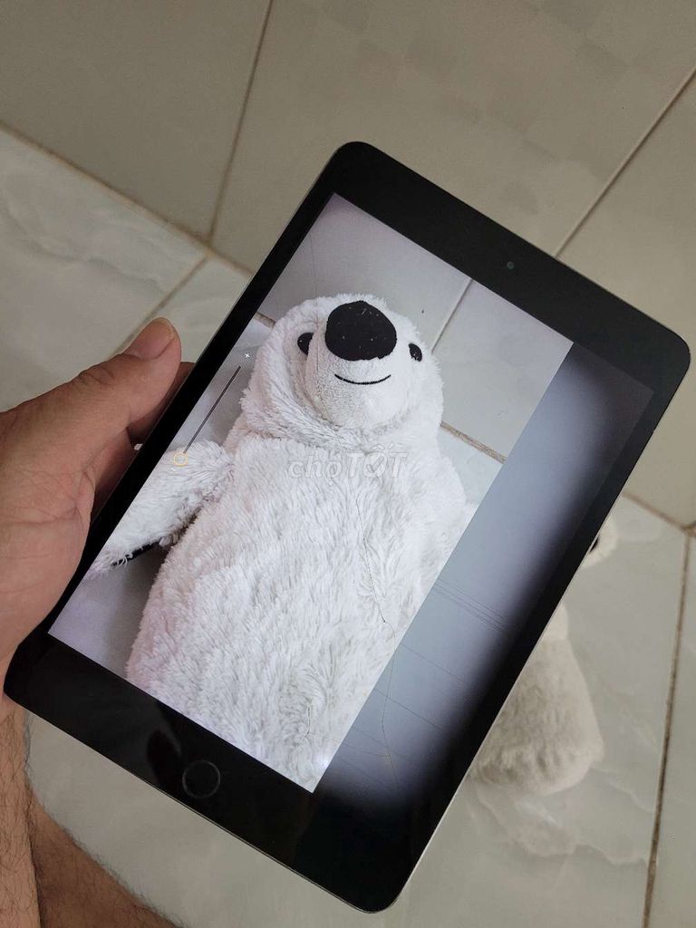 Ipad Mini 4 16g giá tốt