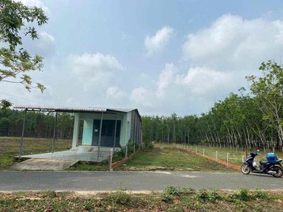 bán đất 8x87m gần THCS Định An - gần công an xã Định an. Mua bán đất tại Huyện Dầu Tiếng Bình Dương được đăng bởi Hồng Loan