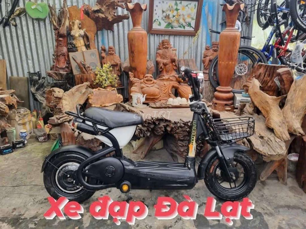 Xe đạp điện,xe điện cần bán.. Mua bán Xe điện tại Thành phố Đà Lạt Lâm Đồng được đăng bởi quang le hình 3