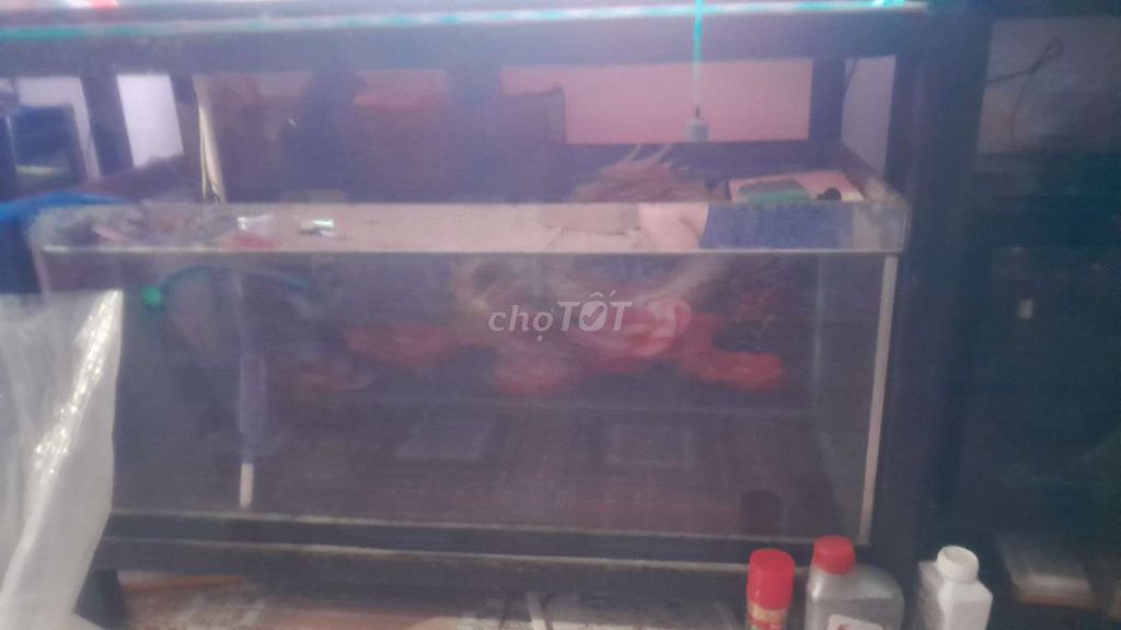 Hồ cá kính 5li 1m4046 sử dụng tốt . Mua bán Phụ kiện, Thức ăn, Dịch vụ tại Quận Bình Thuỷ Cần Thơ được đăng bởi Hy Cá Cỏ phi tần CT hình 1
