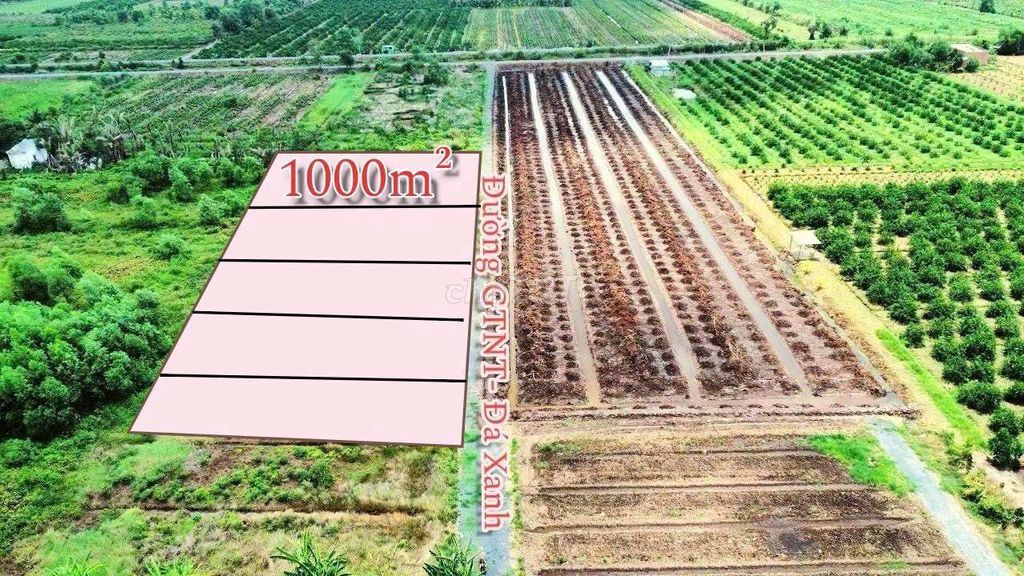 Hàng Ngộp, 1000m2 đất xây nhà vườn 20x 48m, chỉ 490tr