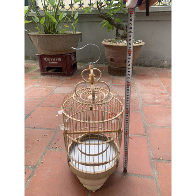 Lồng Tre Vàng nhạt Chim khuyêntặng 2 chim phụ kiện. Mua bán Phụ kiện, Thức ăn, Dịch vụ tại Huyện Thuỷ Nguyên Hải Phòng được đăng bởi shop chim cảnh đồ câu hình 1