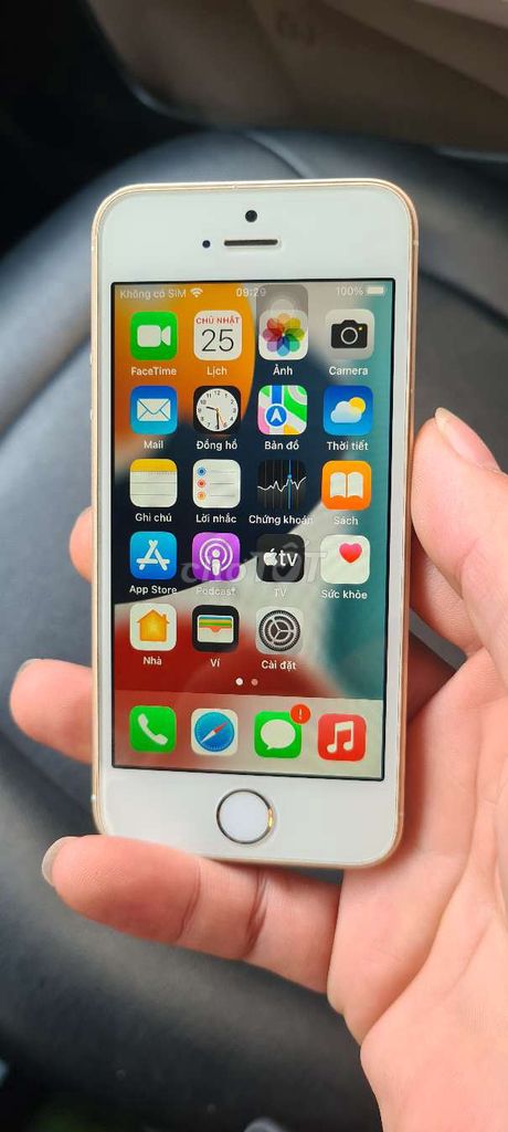 Apple iPhone SE Vàng. Mua bán Điện thoại tại Quận Long Biên Hà Nội được đăng bởi Ronaldo hình 1