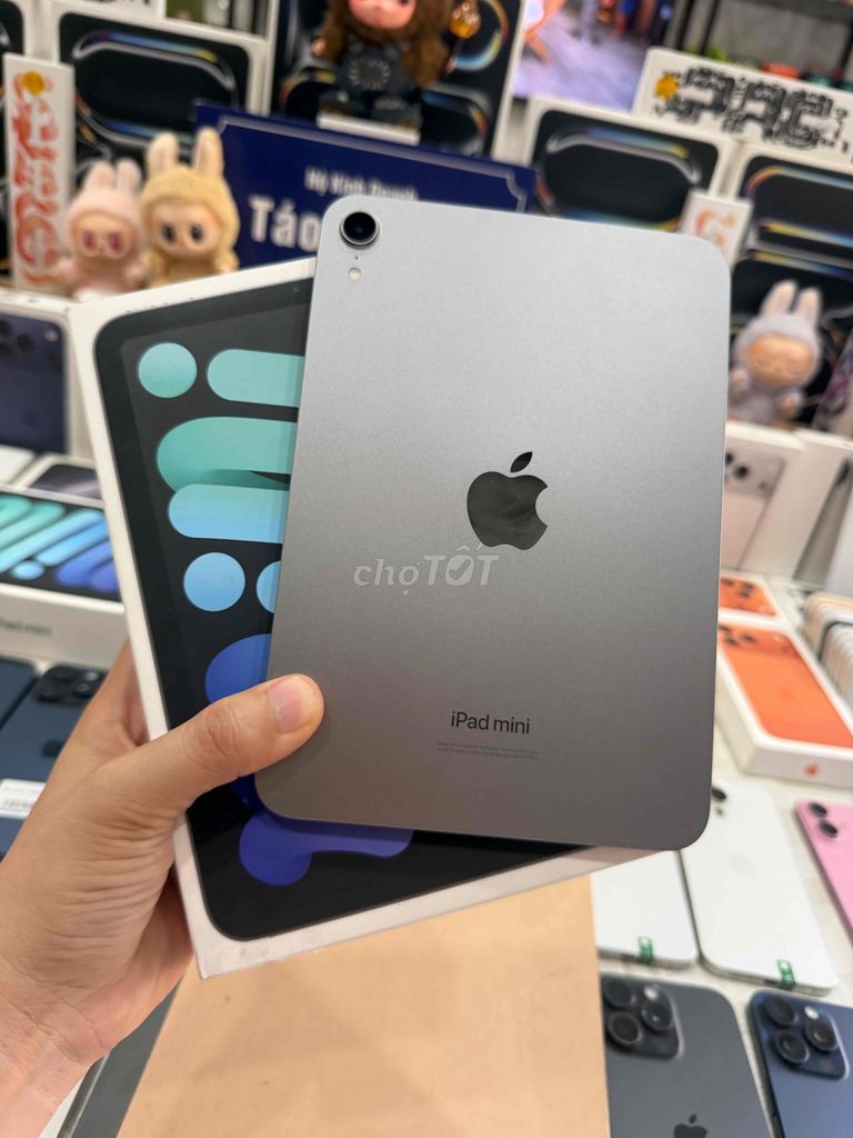 IPad Mini 7 128G Xám Pin 100 Sạc 17L BH 04/27 Keng. Mua bán Máy tính bảng tại Thành phố Thủ Đức Tp Hồ Chí Minh được đăng bởi Táo Uy Tín Chuyên Cung Cấp Sỉ Và Lẻ Tuyển Công Tác Viên hình 1
