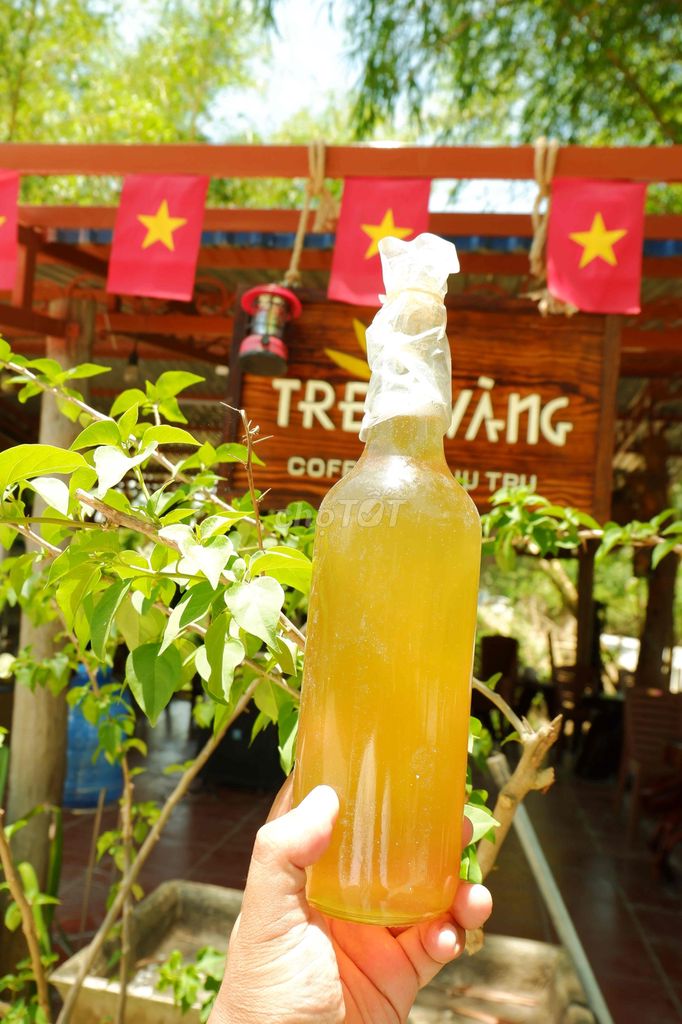 Mật ong rừng. Mua bán Đồ ăn, thực phẩm và các loại khác tại Thành phố Huế Thừa Thiên Huế được đăng bởi Hùng  hình 3