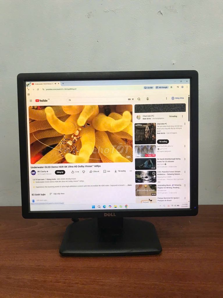 MÀN HÌNH VUÔNG DELL 19 INCH. Mua bán Phụ kiện (Màn hình, Chuột...) tại Quận 1 Tp Hồ Chí Minh được đăng bởi nguyễn hoàng dân hình 1