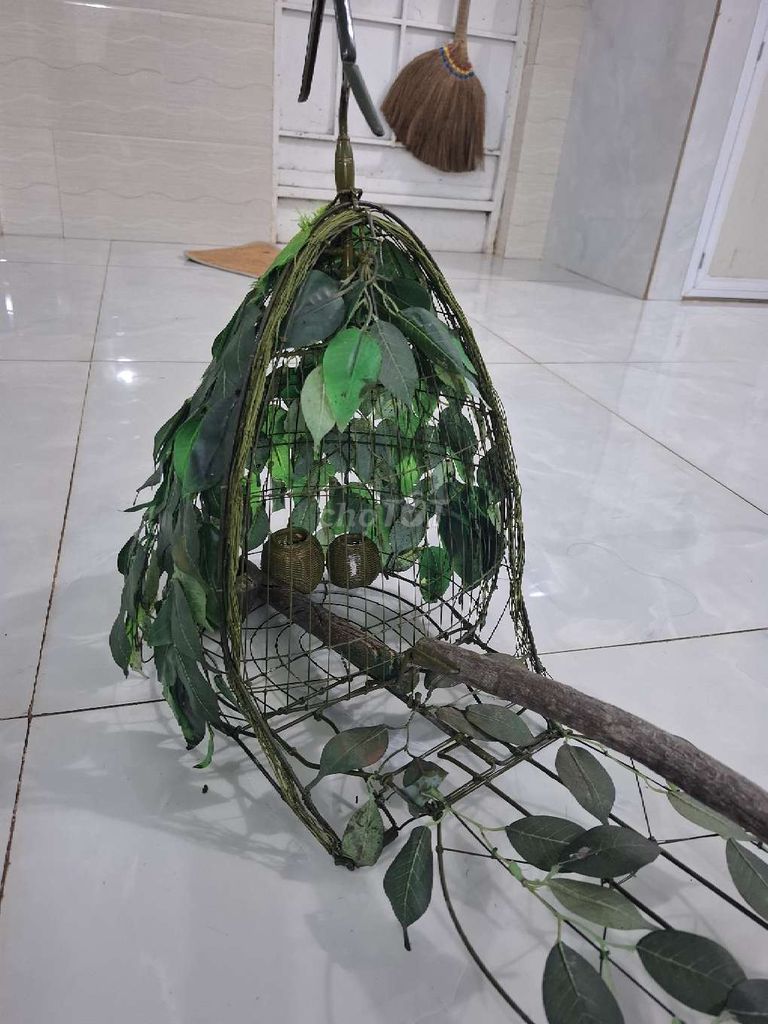 Lụp chim cu. Mua bán Chim tại Huyện Châu Đức Bà Rịa - Vũng Tàu được đăng bởi hiếu  hình 1