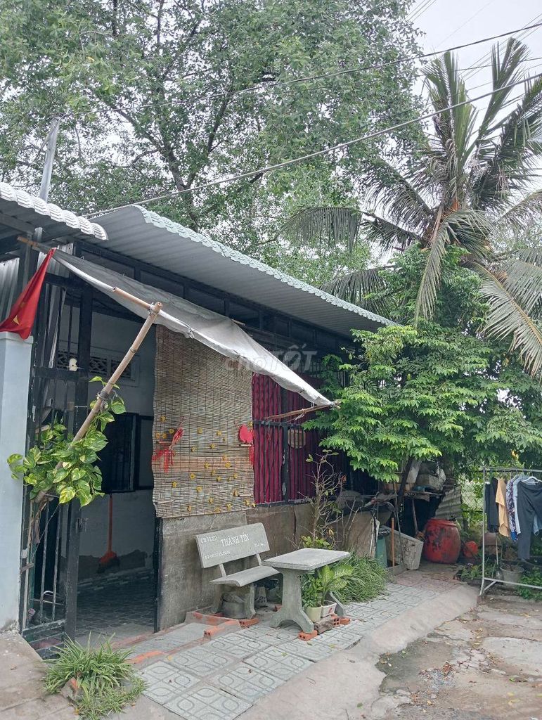 vợ chồng tôi về quê chăn nuôi 
