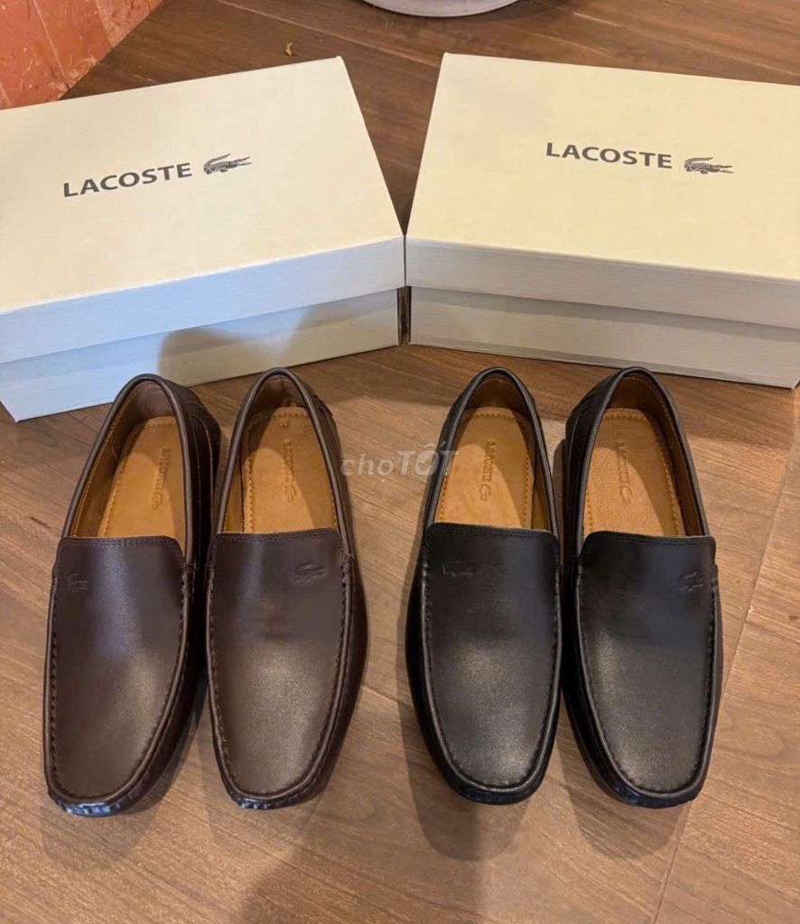 Lacoste nâu và đen