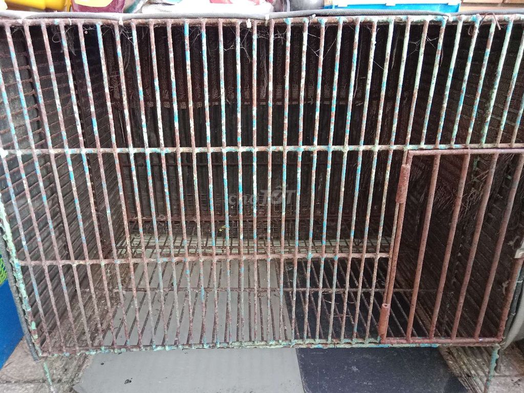 Chuồng thú cưng Sắt đặc nuôi Chó con. Mua bán Phụ kiện, Thức ăn, Dịch vụ tại Thành phố Tây Ninh Tây Ninh được đăng bởi nhan hình 2