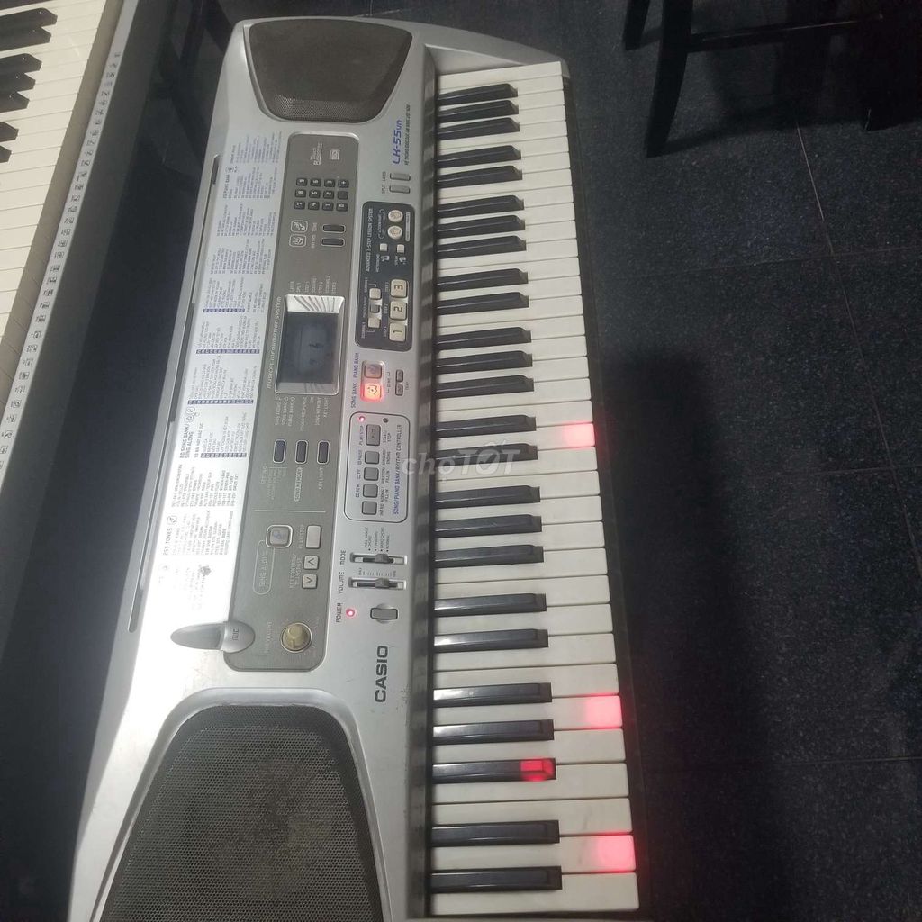 Đàn organ casio LK-55vn