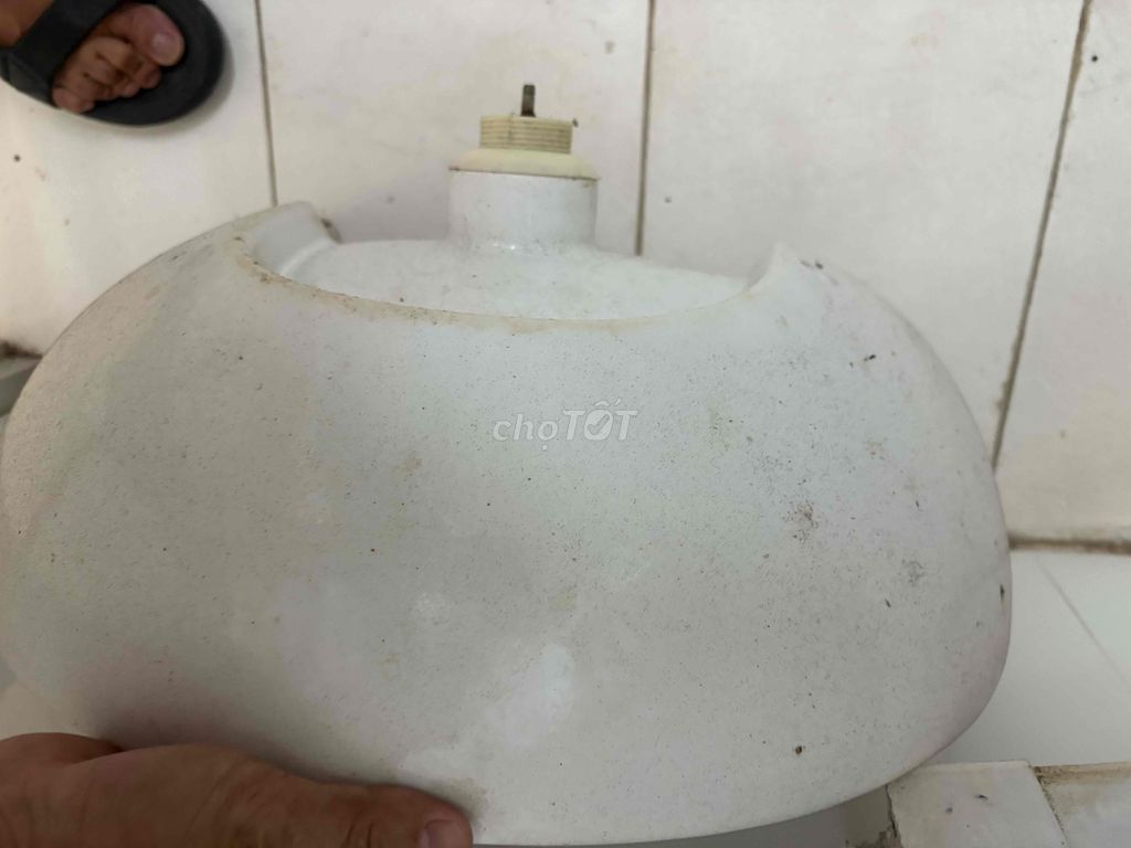 Chậu rửa Caesar Sứ Trắng. Mua bán Thiết bị vệ sinh, nhà tắm tại Quận Bình Thuỷ Cần Thơ được đăng bởi Khôi Nguyên hình 1