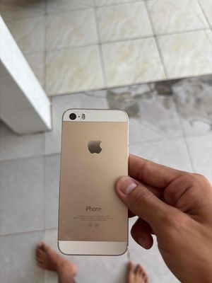 iPhone 5s Vàng Đã sử dụng