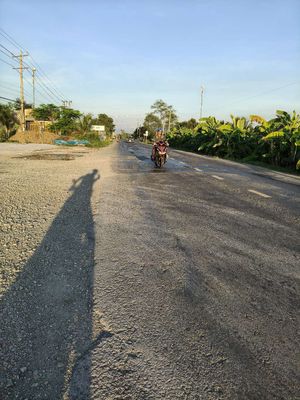 Đất thổ lúa ấp 2 Tân Đông