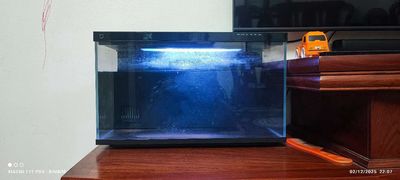 Bể cá cảnh thông minh 20L xiaomi. Mua bán Phụ kiện, Thức ăn, Dịch vụ tại Thành phố Bắc Ninh Bắc Ninh được đăng bởi Chiến BimBim