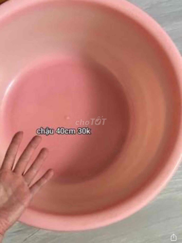 Chậu trồng cây nhựa hồng 40cm. Mua bán Cây cảnh, đồ trang trí tại Quận Nam Từ Liêm Hà Nội được đăng bởi Diep hình 1