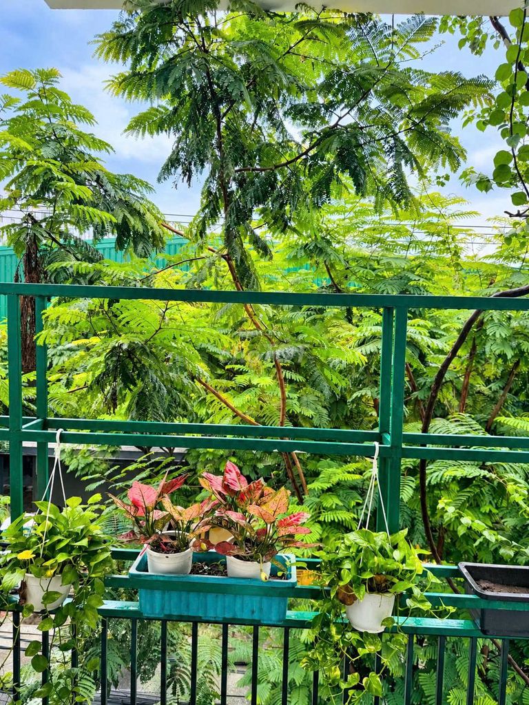 New 1-bedroom apartment with balcony near My Khe beach — photo 6