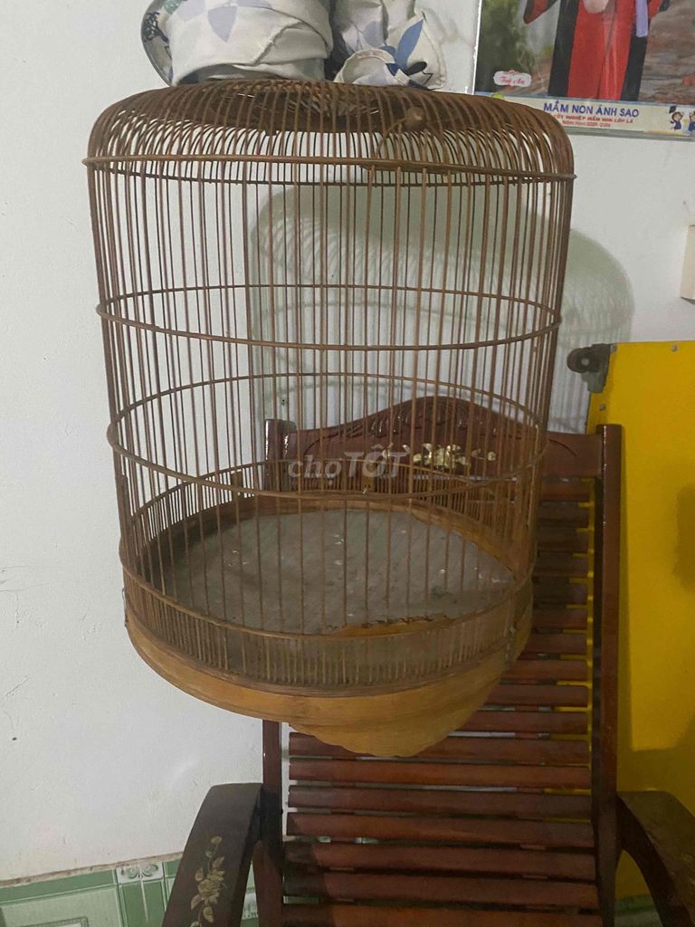 Lồng chim Chích chòe lửa gl lồng chào mào. Mua bán Phụ kiện, Thức ăn, Dịch vụ tại Huyện Vĩnh Cửu Đồng Nai được đăng bởi Thành Luân hình 1