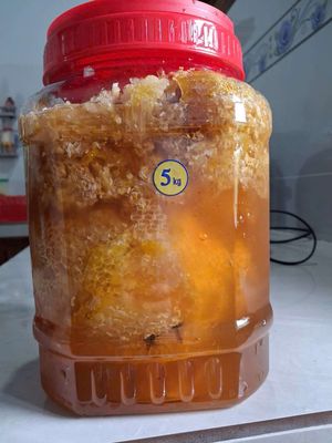 5kg mật ong rừng cả tổ nguyên chất PHÚ YÊN. Mua bán Đồ ăn, thực phẩm và các loại khác tại Quận Gò Vấp Tp Hồ Chí Minh được đăng bởi Bùi Văn Dũng