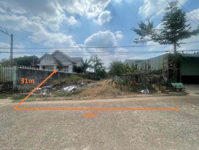 ĐẤT 16X31 NHÁNH LÊ LAI, ĐỒNG XOÀI, BÌNH PHƯỚC