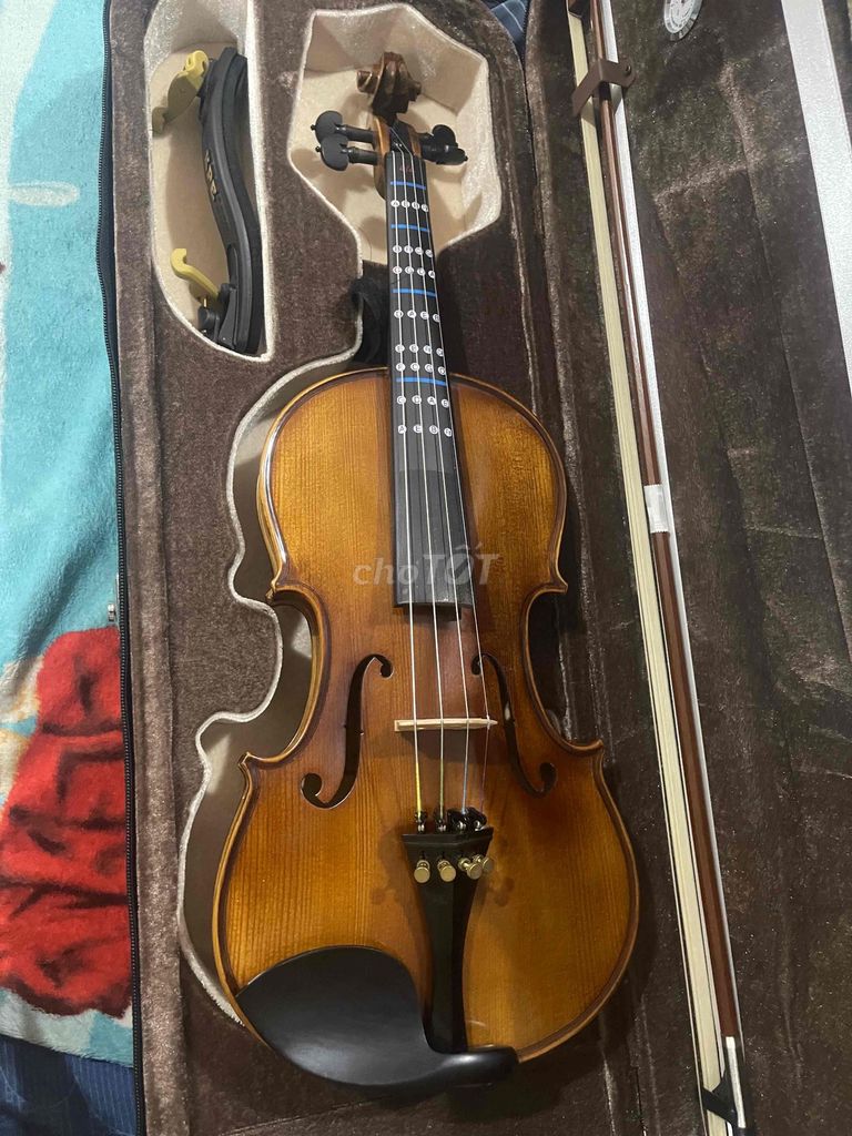 Đàn Violin Cadu Violin Còn mới. Mua bán Nhạc cụ tại Quận Bình Tân Tp Hồ Chí Minh được đăng bởi Hasly Do hình 1