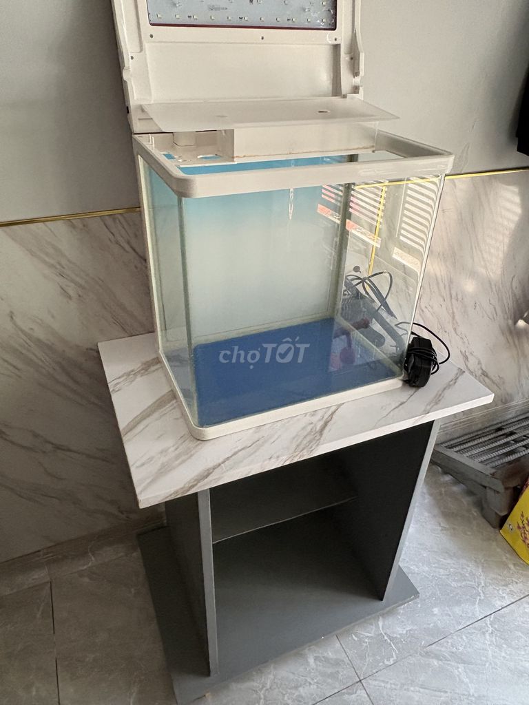 Bể cá cảnh đầy đủ phụ kiện. Mua bán Phụ kiện, Thức ăn, Dịch vụ tại Quận Gò Vấp Tp Hồ Chí Minh được đăng bởi Sơn hình 1