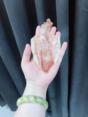 🦑Khô mực cà mau loại 1 ngon ngọt bao ăn 😘🫶🏻. Mua bán Đồ ăn, thực phẩm và các loại khác tại Quận 8 Tp Hồ Chí Minh được đăng bởi HẰNG XE ĐIỆN 