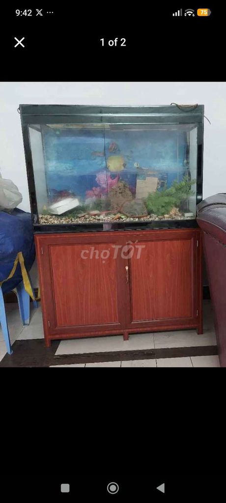 Bể cá cảnh Kính Sắt 100x40x70cm. Mua bán Phụ kiện, Thức ăn, Dịch vụ tại Thành phố Biên Hòa Đồng Nai được đăng bởi Chương hình 1