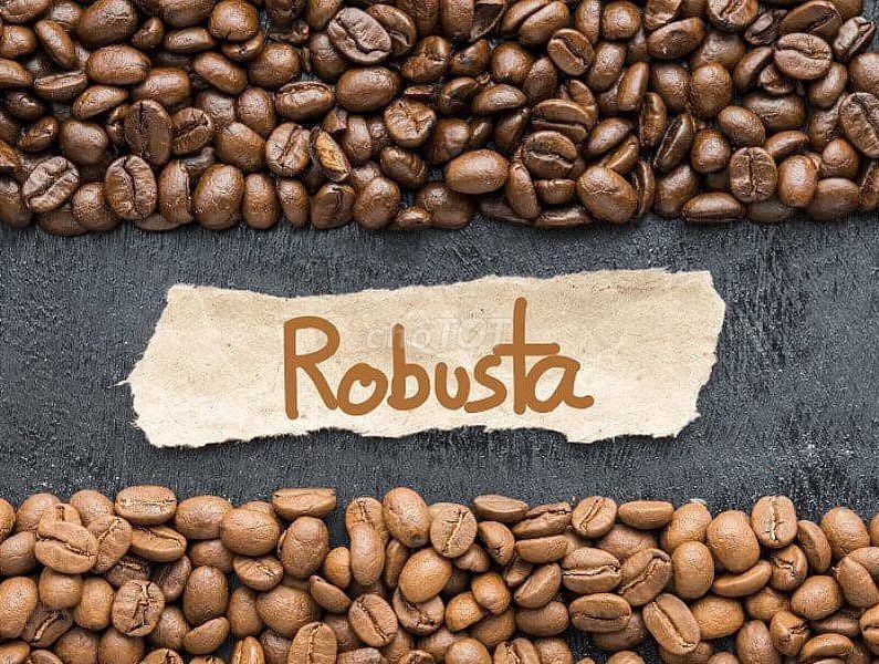 Cà phê Robusta sỉ và lẻ. Mua bán Đồ ăn, thực phẩm và các loại khác tại Quận Gò Vấp Tp Hồ Chí Minh được đăng bởi Moc Ca Phe hình 1