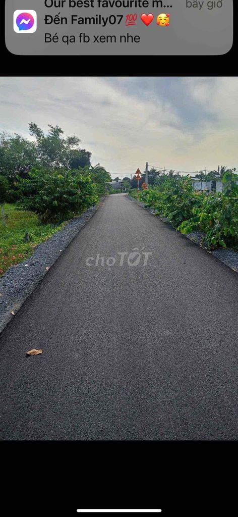 Đất mặt tiền đường 20mét, ngay ngã tư Lê thị Vui- Ba Sa. Mua bán Đất tại Huyện Củ Chi Tp Hồ Chí Minh được đăng bởi nguyēnphųnghuy hình 4