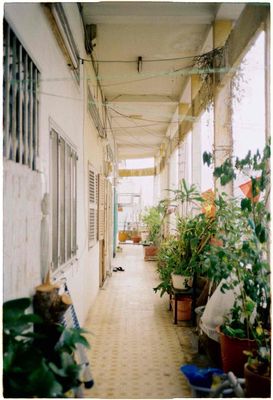 Pass phòng chung cư cũ q5