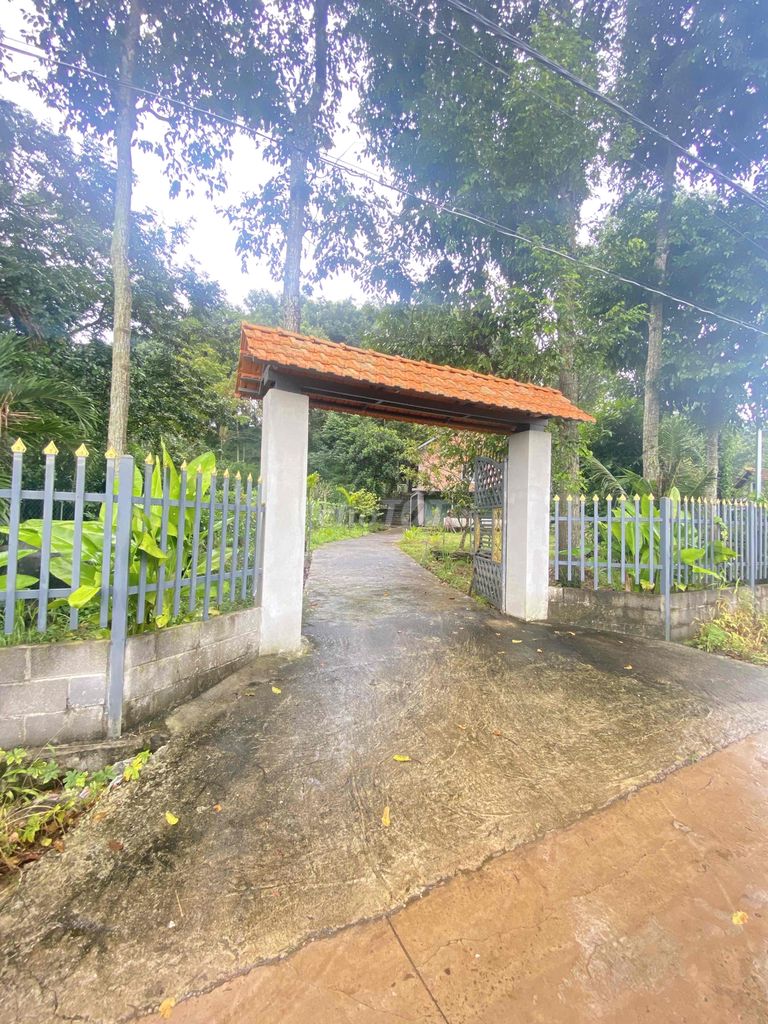 BÁN ĐẤT CĂN NHÀ VƯỜN XUÂN LẬP LONG KHÁNH 2ty3 823m