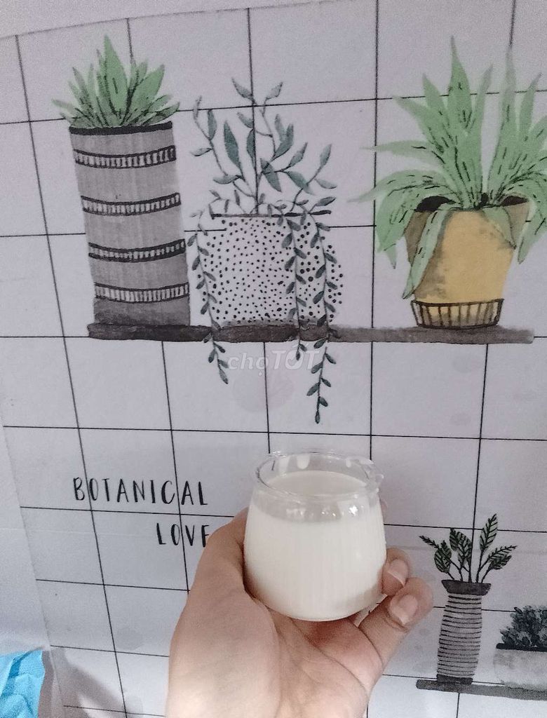 Sữa chua 110ml Nhà làm. Mua bán Đồ ăn, thực phẩm và các loại khác tại Quận Gò Vấp Tp Hồ Chí Minh được đăng bởi subaoanh hình 1