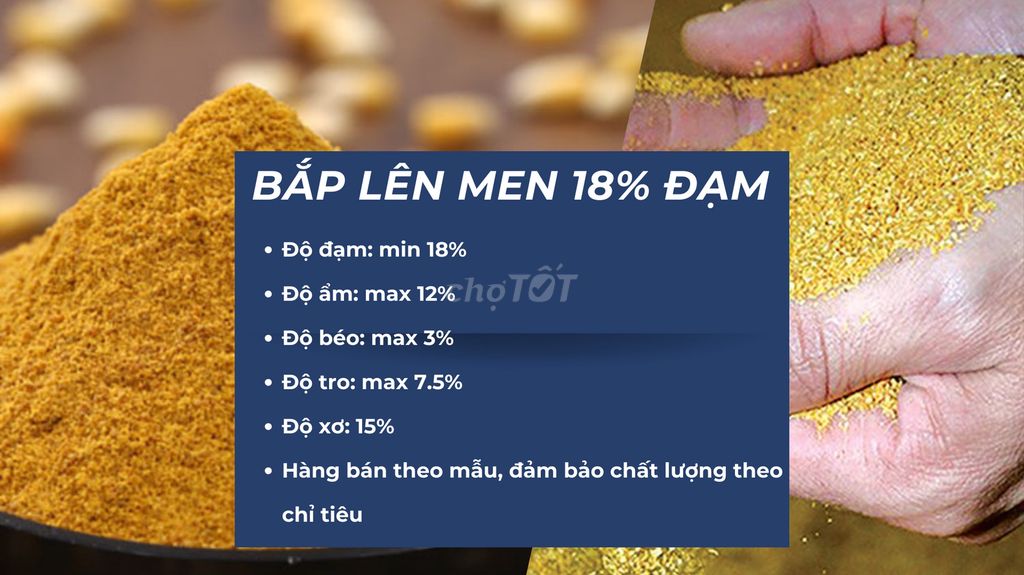 Phẩm Bắp Lên Men 18% Đạm sa. Mua bán Đồ ăn, thực phẩm và các loại khác tại Huyện Bến Lức Long An được đăng bởi Nguyên liệu thức ăn chăn nuôi hình 1