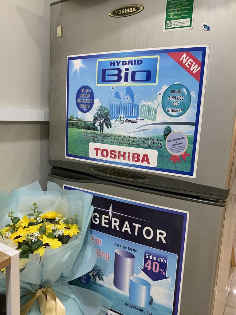 Tủ lạnh Toshiba Hybrid Bio Xám. Mua bán Tủ lạnh tại Thành phố Thủ Dầu Một Bình Dương được đăng bởi Le Hang hình 1