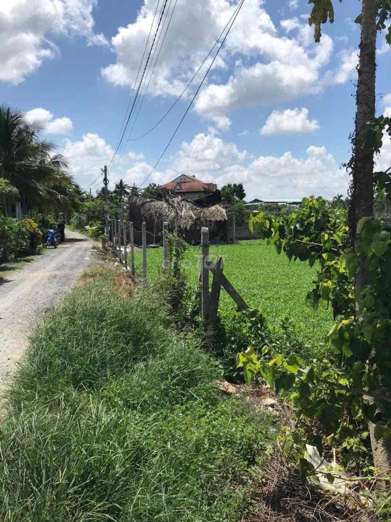 BÁN ĐẤT SỔ RIÊNG ĐẤT TRỒNG CẤY LÂU NẮM