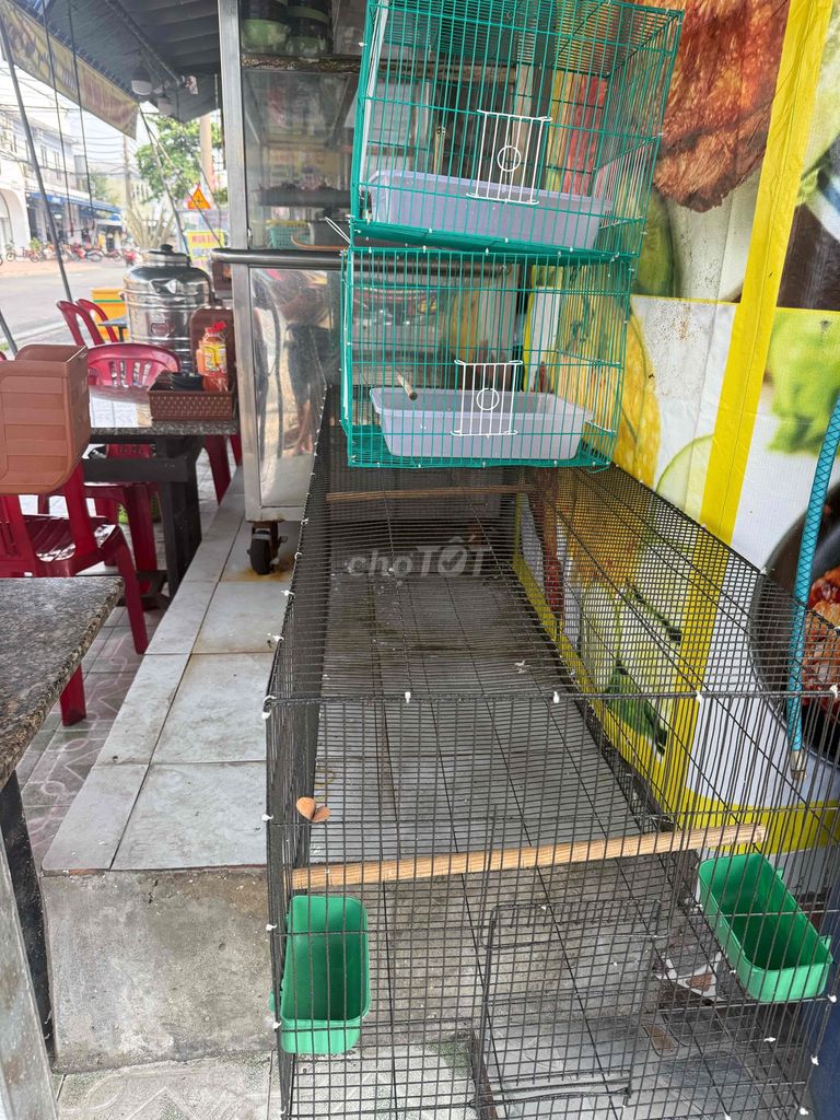 Lồng chim sơn tĩnh điện 1m5. Mua bán Phụ kiện, Thức ăn, Dịch vụ tại Thị xã Bến Cát Bình Dương được đăng bởi Xuyên hình 1