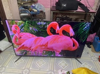 Android Tivi QLED TCL 4K 55 inch (55Q726)