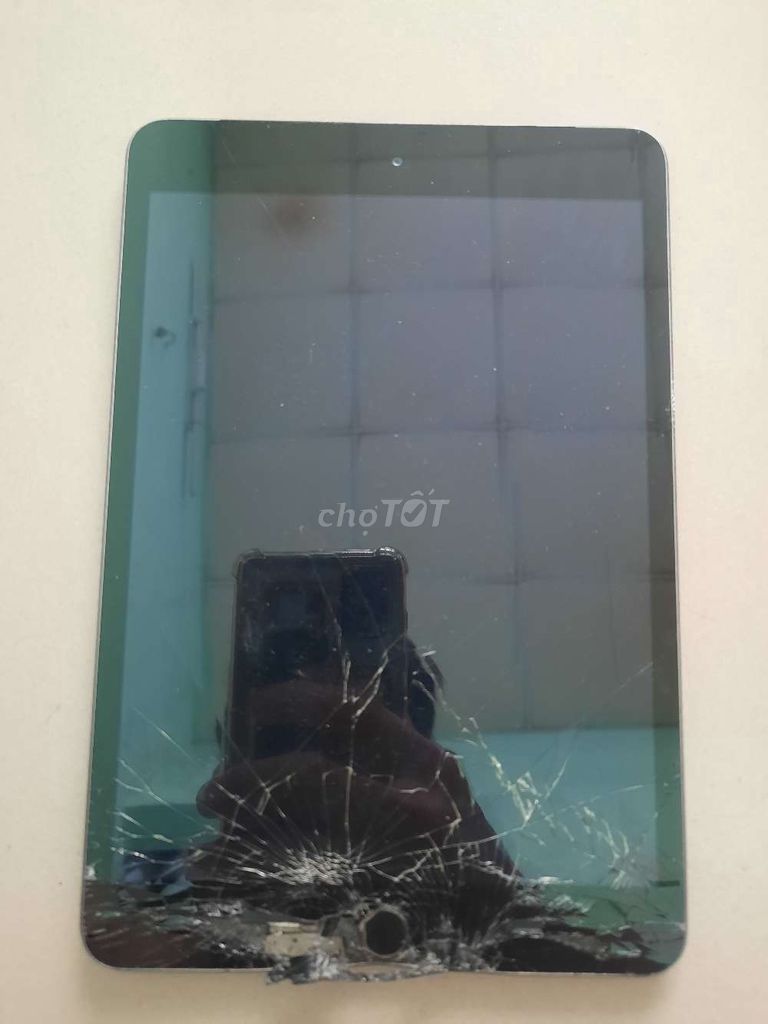 Xác ipad mini 2 có iclou ko chín chủ
