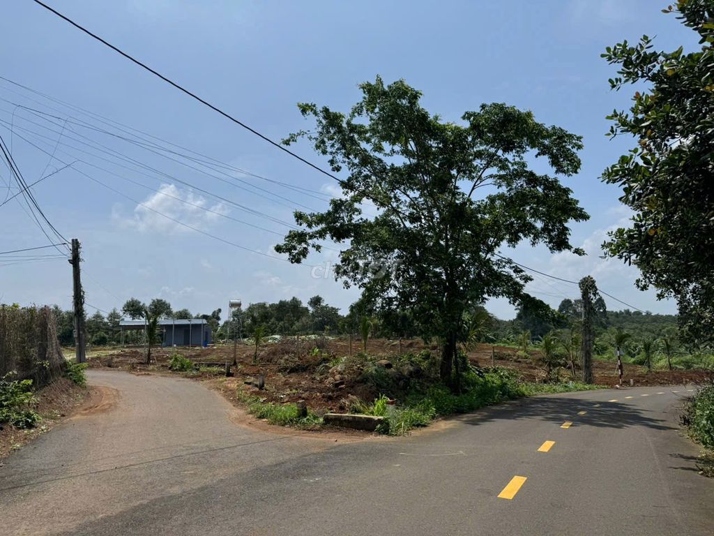BÁN NHANH LÔ ĐẤT NÔNG NGHIỆP 6 SÀO  VỊ TRÍ CỰC ĐẸP TẠI KIM LONG , BRVT